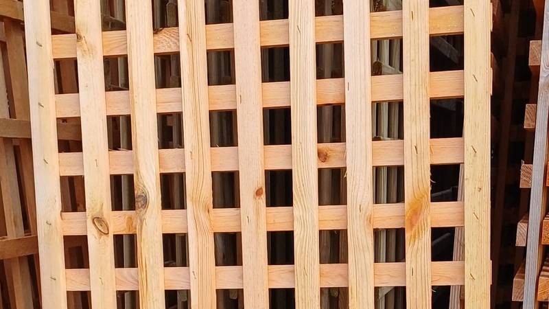 Trellis fencing Derby