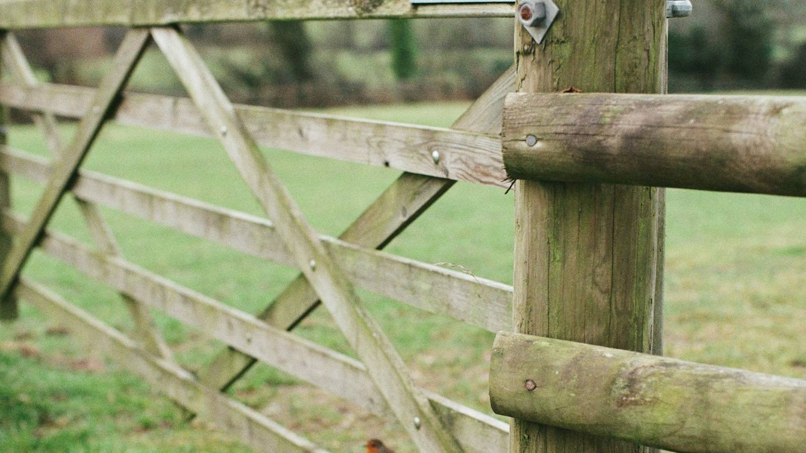 Garden gate installation in Derby