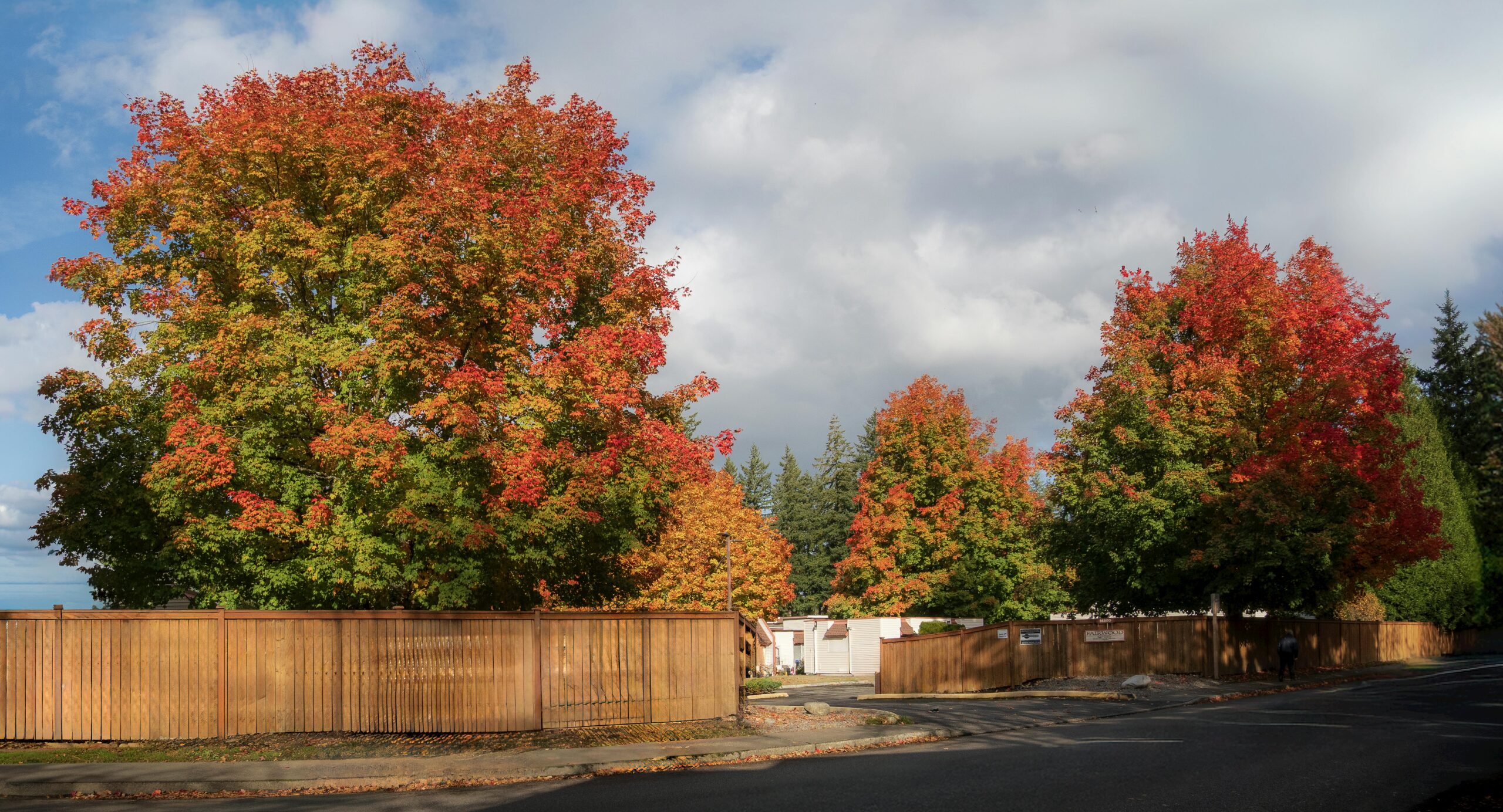fence company near me